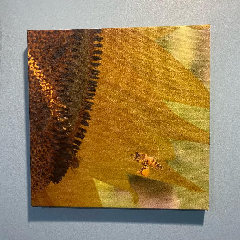 Bee & Sunflower Canvas